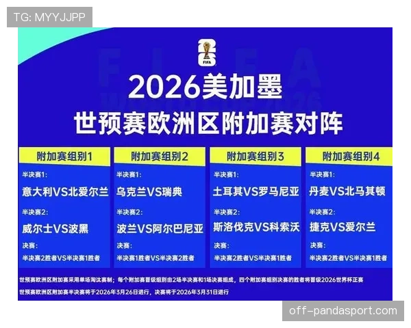 波黑2026世界杯阵容预测 哲科领衔锋线能否创造历史